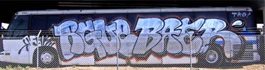 rgue | baer | bus | california (21 votes)
