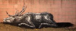 roa | pasadena | california (12 votes)