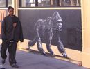 roa | monkey | sanfrancisco | california (24 votes)