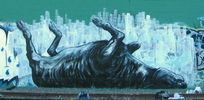 roa | oakland | california (2 votes)