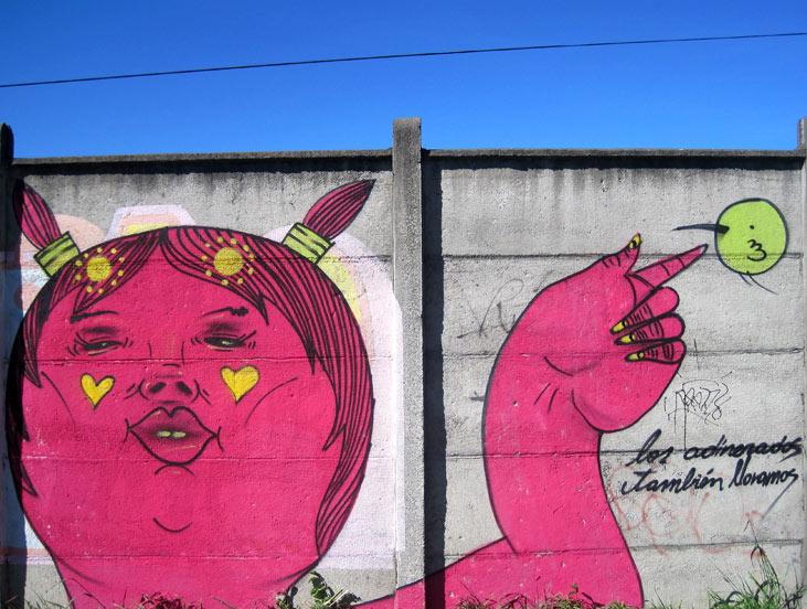 maher | pink | villarrica | chile