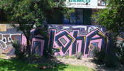 aloha | wsdm | santiago | chile (17 votes)