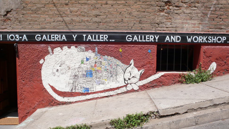cat | valparaiso | chile