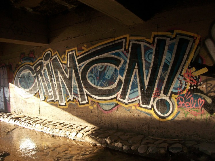 crimen | bridge | chile