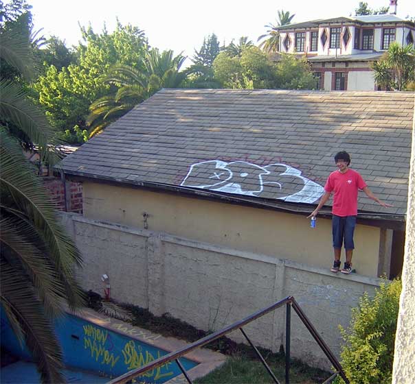 desoo | roof | chile
