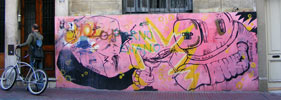 el-mato | pink | chile (21 votes)