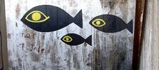 ledorian | fish | santiago | chile (19 votes)
