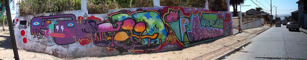 ollie | pollo | cartagena | chile