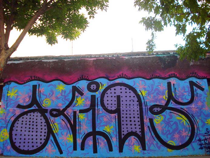 ren | savao | acids | santiago | chile
