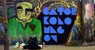 gator | chile (13 votes)