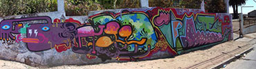ollie | pollo | cartagena | chile (15 votes)
