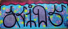 ren | savao | acids | santiago | chile (10 votes)