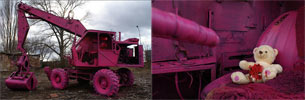 shitex | pink | czech-republic (53 votes)