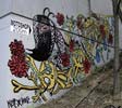 x-doog | kost | prague | czech-republic