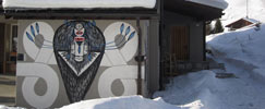 tika | snow | switzerland | europe (27 votes)