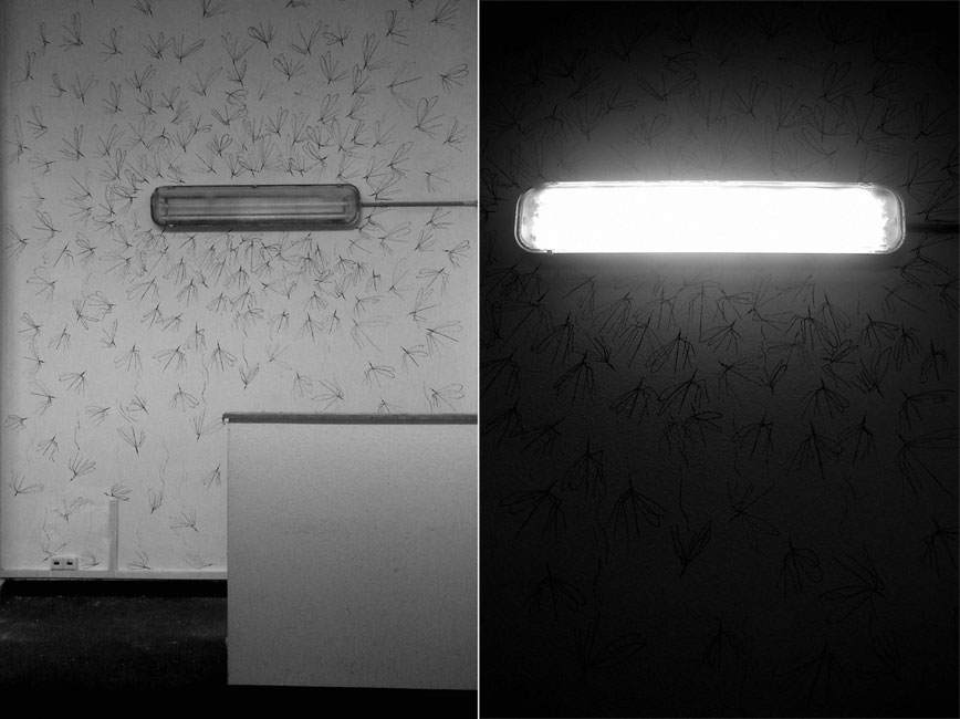 slow | hungary | europe