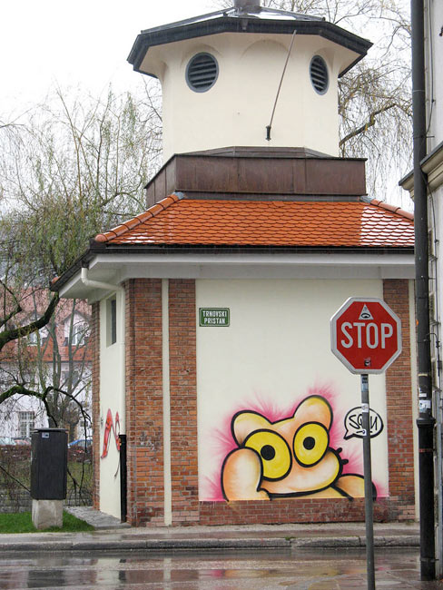 sqon | cat | ljubljana | europe