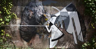 zmes | strix | slovakia | europe (24 votes)