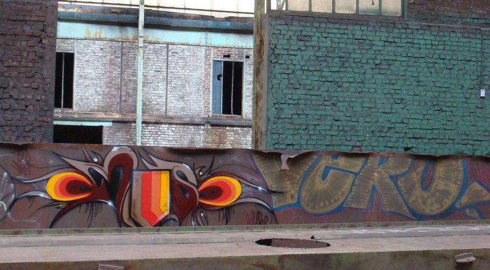 amsah | vero | tourcoing | france