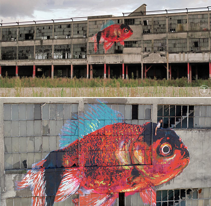 ipin | fish | villeurbanne | france