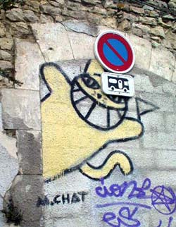 mrchat | larochelle | france | cat
