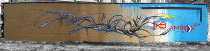 amin | iks | roubaix | france (27 votes)