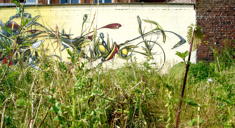 amin | roubaix | france