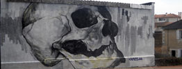 calmets | skull | grey | poitiers | france (50 votes)