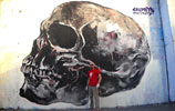 calmets | skull | poitiers | france (29 votes)