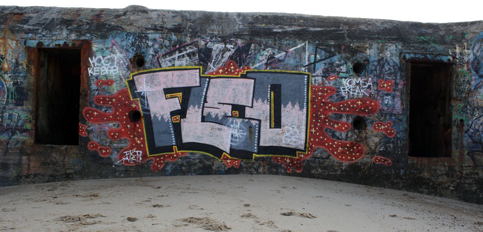 fleo | drgs | capbreton | blockhaus | france