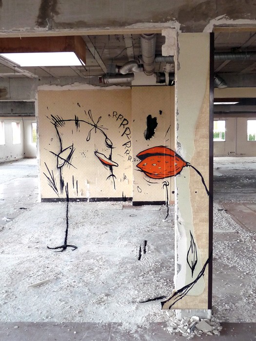 lksir | france