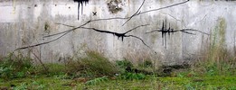 lksir | france (24 votes)