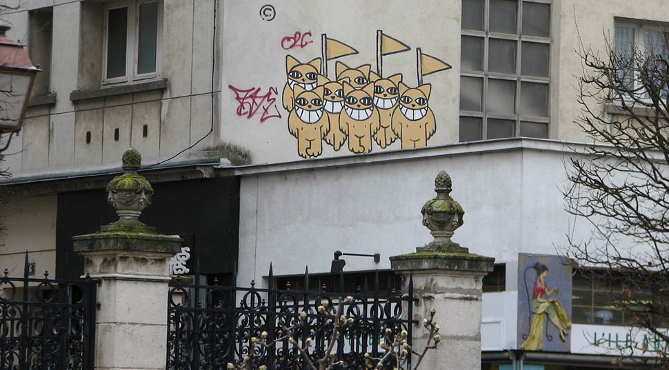 mrchat | orleans | cat | france