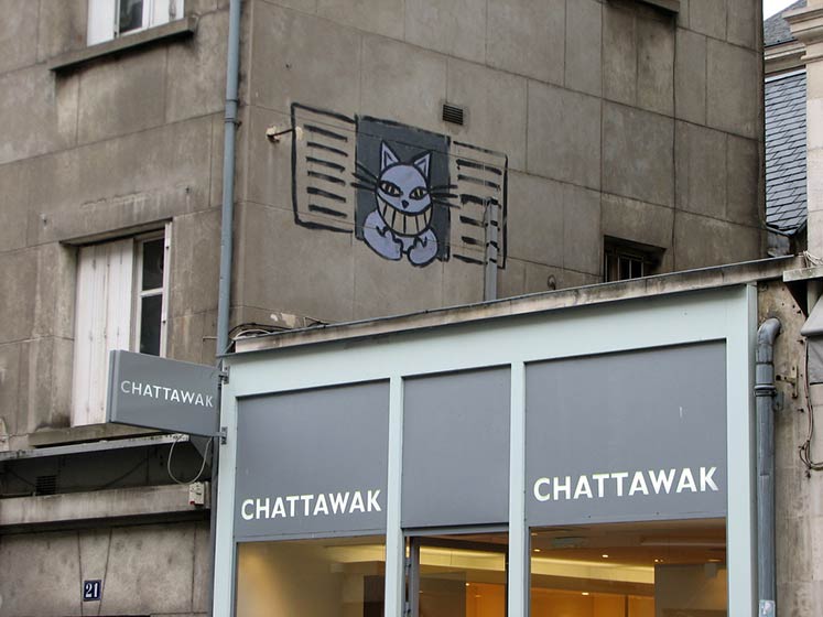 mrchat | orleans | cat | france