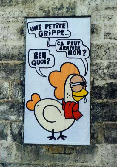 monsieurpoulet | angouleme | france