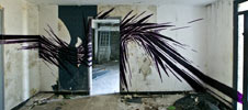 repaze | 777 | france (23 votes)
