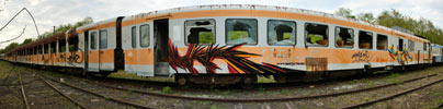 repaze | sair | trashtrain | france (28 votes)