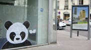 -m- | panda | nantes | france (10 votes)