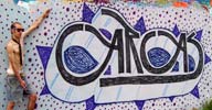 carcas | n-f | aveyron | france (1 vote)