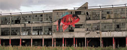 ipin | fish | villeurbanne | france (66 votes)