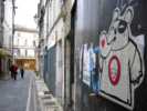 jeanpierre | elo | angouleme | france (1 vote)