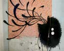 lksir | hsh | rouen | france (6 votes)
