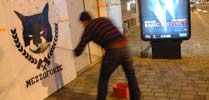 mezzoforte | action | night | cat | france (3 votes)