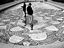 kibitz | floor | hsh | rouen | france (2 votes)