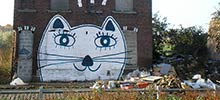 lem | roubaix | cat | france (27 votes)