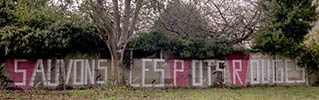 les-freres-ripoulain | text-message | france (12 votes)