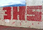 lignesrouges | 3hs | reunion | red | france (15 votes)