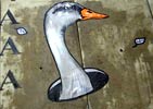 m0m0 | duck | rennes | france (15 votes)