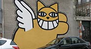 mrchat | orleans | cat | france (26 votes)