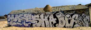 nasty | shade | dea | kase | blockhaus | capbreton | france (8 votes)
